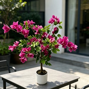 High Quality Real Touch <b>Artificial</b> Silk Bougainvillea <b>Trees</b> Durable Indoor Desktop Plants - Product Image 3