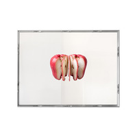Peinture décorative Lotus Mist de style minimaliste moderne, art créatif, cadre en alliage d'aluminium argenté, acrylique, restaurant haut de gamme