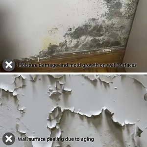 Revêtement imperméable pour mur humide, résistant à <span class=keywords><strong>l</strong></span>'humidité, écologique, durable, haute résistance, réparation de surface de contre-marée - Product Image 2