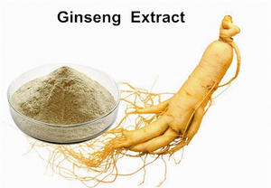 Bitkisel Kökler Yabani Organik <span class=keywords><strong>Ginseng</strong></span> Ekstresi %80 Toz Bitkisel Takviye Vegan Glutensiz Tambur Vakumlu Paket Özelleştirilebilir Sağlık - Product Image 2