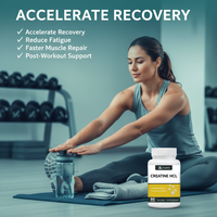 Capsules de créatine HCL OEM à absorption élevée, sans troubles gastro-intestinaux, complément nutritionnel sportif pour le soutien de la force, vente en gros