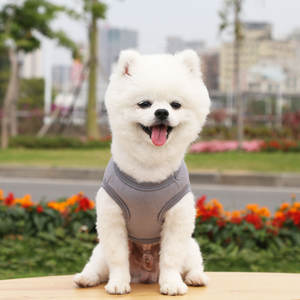 بالجملة الصيف رخيصة الحجم الكبيرة متعددة الألوان القطن عادي اللون الكلب تي شيرت الكلب الحيوانات الأليفة قمصان فاخرة قميص الكلب فارغ - Product Image 3