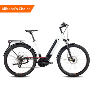 großhandel retro 29 zoll elektrofahrrad 48 volt batterie japanische elektroroller 750 watt elektro city bike frauen - Product Image 1