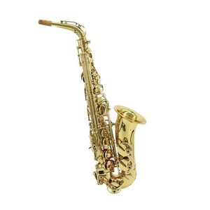 Saxophone Alto Instrument à vent en <span class=keywords><strong>bois</strong></span> laqué or avec surface en laiton EB - Product Image 1