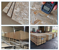 OSB 3 Machihembrado 18 mm Résistant à l'humidité Panneau structurel Prix usine Vente en gros