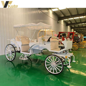 Calèche de tourisme, calèche électrique, calèche de mariage, calèche de tourisme à vendre - Product Image 2