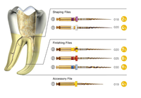 Limas Dentales Jingc para Endodoncia, Activadas por Calor, de NITI Dorado, Flexibles, Manuales y Rotatorias, para Conductos Radiculares, Herramienta de Odontología Clase II, Certificadas por la CE