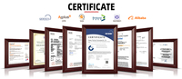 Support de montage de panneau solaire en acier Q235B certifié TUV & CE pour système solaire photovoltaïque sur toit plat au sol/en béton