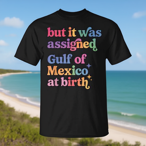 Mais il est indiqué sur le t-shirt Gulf Of Mexico At Birth - Product Image 3