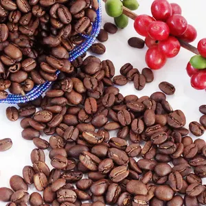 Chinois en vrac main yunnan grade 1 grains de café torréfiés moyennement foncés