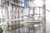 Machine de remplissage et de bouchage pour sachets refermables à bec verseur (doypacks)