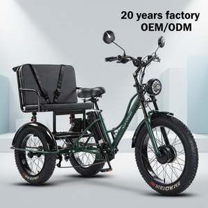 Tricycle électrique à 3 roues pas cher de 24 pouces 600W 750W avec siège passager arrière et double amortisseur Triciclo Electrico De Litio - Product Image 1