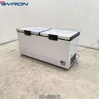 Congélateur de coffre à double température Byron Wholesale | Qualité industrielle, 2 ~ 8 ℃/-18 ℃ pour restaurant/supermarché