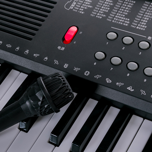 Orgue électronique BD MUSIC BD-665, clavier musical, instruments de musique, 61 touches, à vendre - Product Image 1