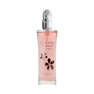 Perfume de Colonia de Diseño Ecológico y Lujoso con Ligera Fragancia para Mujer, Precio de Fábrica de Marca Privada, Tamaño Regular - Product Image 6