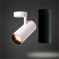 Spot lumineux décoratif encastré Durlite personnalisé 7W 10W 15W 20W 30W à intensité variable, luminaire COB 20W LED pour plafond