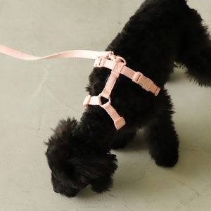 샘플 무료 맞춤 마카롱 디자인 소형견용 조절 가능한 고양이 애완동물 목줄 리드 스트랩 하네스 세트 - Product Image 3