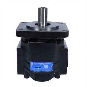 ปั๊มเกียร์ไฮดรอลิก CBGX CBQ CBQJ ซีรีส์ CBGX-50-BFHL CBGN CBTZ โครงสร้างเหล็กหล่อความแข็งแรงสูง รับประกันความทนทานและอายุการใช้งานยาวนาน - Product Image 1