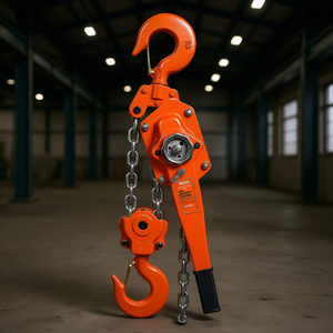 Palans à chaîne manuels Weston, capacité 1 tonne, longueur 20 pieds, orange, construction en acier de qualité industrielle - Product Image 2