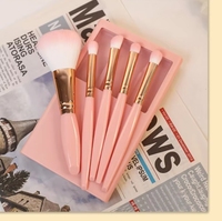 Ensemble de pinceaux de maquillage miniatures roses à étiquette privée, très vendus, taille voyage, outils cosmétiques professionnels doux, logo personnalisé OEM