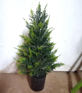 Cây bụi nhân tạo dưa hình dạng hạt giống cây gỗ Hoàng Dương giả cây thông Cypress chậu cây cho nhà vườn trang trí đám cưới - Product Image 6