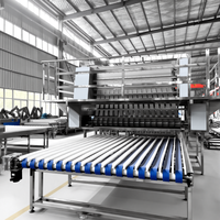 Machine à Nouilles Entièrement Automatique Professionnelle pour la Fabrication de Nouilles Fraîches – Fabricant de Machines Automatiques pour Nouilles Fraîches