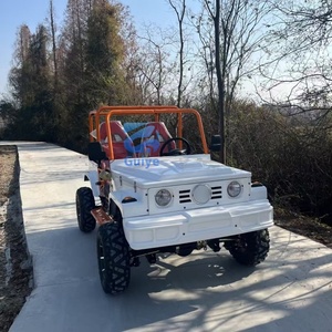 Véhicule tout-terrain Jeep avec toit convertible, polyvalent pour les journées ensoleillées et pluvieuses, pour profiter de l'extérieur, Jeep pour adultes, couleur personnalisée - Product Image 1