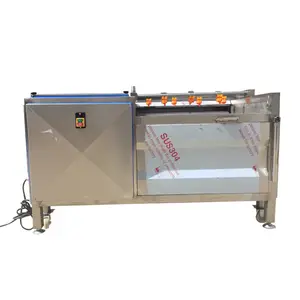 carrot washing machine washer and peeler potato washing and peeling machine