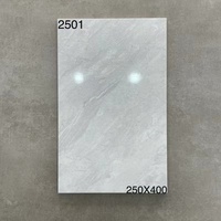 Prix pas cher 250X400mm salle de bain cuisine décoration intérieure carrelage mural en céramique