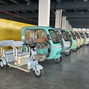 รถสามล้อไฟฟ้าสำหรับผู้สูงอายุแบบสองที่นั่ง 800w ขายดี กำลังลดราคา - Product Image 1