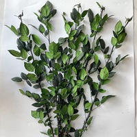 Vente en gros usine : Branches de roses naturelles stabilisées, décoration longue durée pour la Fête des Mères, la remise des diplômes et Noël, 3-5 ans, 65 cm