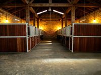 Seepoem 12x12ft Cloison de box extérieure en acier galvanisé à chaud pour écurie de chevaux, club équestre, box d'hébergement, tailles personnalisables