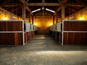 Box per <span class=keywords><strong>Cavalli</strong></span> 12x12ft Zincato a Caldo con Frontale e Pareti Divisorie per Club Equestri, Box Economico per <span class=keywords><strong>Cavalli</strong></span> da Dressage - Product Image 5