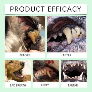 Stylo de nettoyage des dents pour animaux de compagnie, éliminateur de tartre et de plaque dentaire pour chiens et chats, haleine fraîche, déodorant pour les taches dentaires, réparation des gencives, soins bucco-dentaires, usage quotidien à domicile - Product Image 5