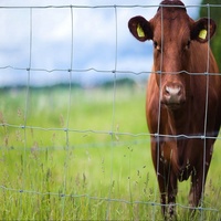 Clôture de ferme, de ranch, de champ extérieur, en fil de fer galvanisé tissé, pour l'isolement du bétail