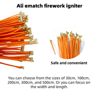 Allumettes de feux d'artifice sans poudre, vente en gros d'usine, longueur 30 cm sélectionnable, livraison super rapide