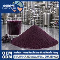 Polvo de Açaí Instantáneo Premium 1kg a Granel para Bebidas Saludables y Suplementos para Adultos, Directo de Fábrica