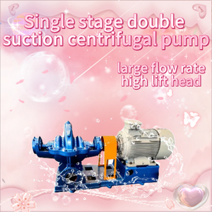 Bomba de Agua Centrífuga de Una Etapa y Doble Succión de Gran Caudal, Adaptable, de Hierro Fundido y Acero Inoxidable, 380V, para Uso Industrial, Bomba SH - Product Image 5