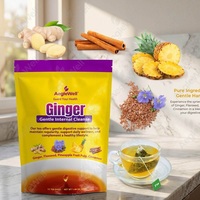 WELLBODY Thé Détoxifiant Doux au Gingembre avec Graines de Lin, Ananas et Cannelle pour un Soutien Digestif Naturel et une Détoxification pour Adultes