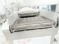 Volledig automatische continue friteuse met transportband voor het maken van knapperige snacks uit pellet-, chip- en bonenproducten.