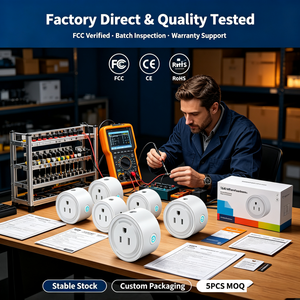 Prise intelligente WiFi Zigbee avec moniteur de puissance et minuterie, 16A, norme américaine, compatible avec Alexa et Google Home, pour le marché d'Amérique du Nord et du Sud - Product Image 6