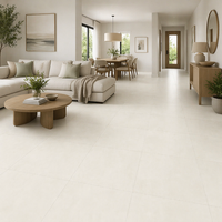 DCT Neues Design Gesinterte Steinplatten Matt/Glänzend Optisch Weiße Wandfliesen Wasserdicht Rutschfest Umweltfreundlich Modern für Innenbereich