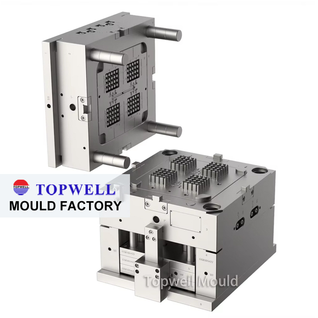 Topwell Custom Injection Molding ABS PC PP PA66 Plastic Parts OEM Molded Components Manufacturer Supplier