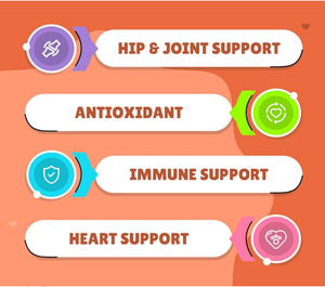 Oem/odm כורכום לכלבים 120 טבליות לעיסה-ירך ומפרק תמיכה אנטי דלקתי לכלבים עם כורכום וביופריין - Product Image 2