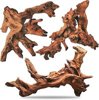 Bois flotté poreux de Cholla PKY de haute qualité, squelette de cactus pour l'élevage de crevettes, décoration d'aquarium et biofilm