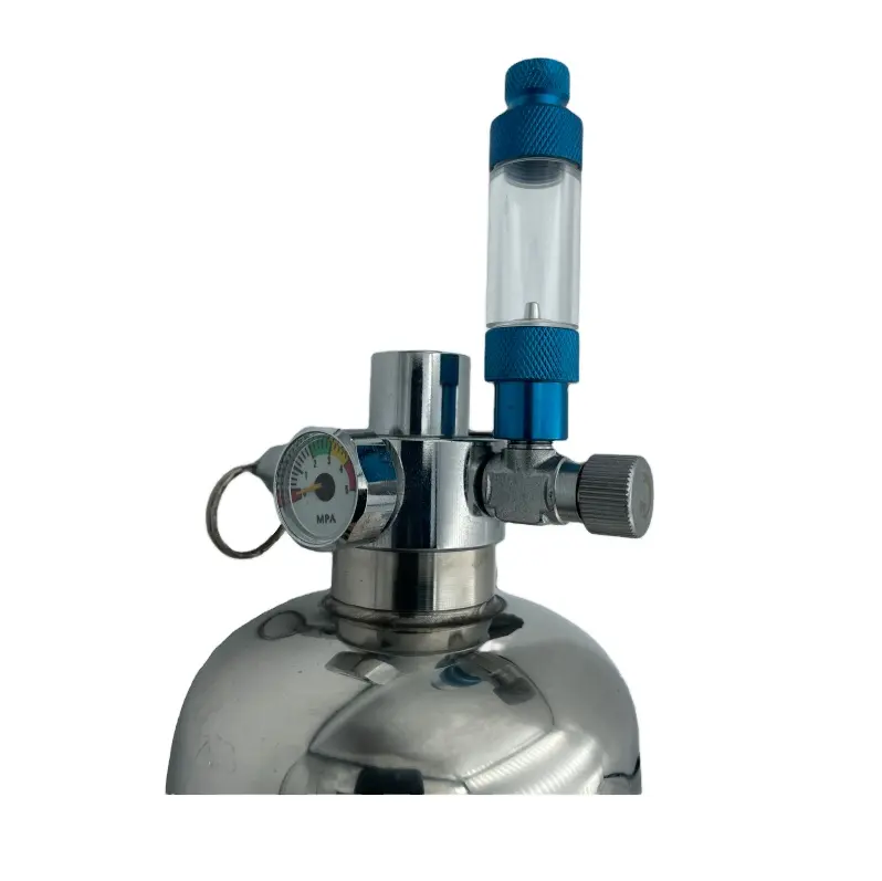 Kunden spezifisches Selbstreaktor-Kit für Aquarium-CO2-Generatoren mit 2-Liter-Magnetventil für Edelstahl zylinder