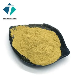 High Quality Citrus Aurantinum Extract Bitter Orange Extract Powder