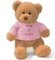 Boneka Teddy Bear Custom Isi Sendiri, Boneka Lembut dengan Kaos, Boneka Teddy Bear Klasik