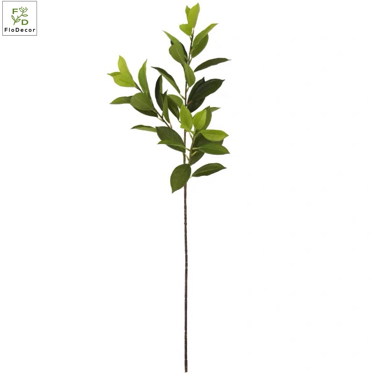 alocasia leaves real touch