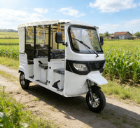 Véhicule EEC à 3 roues, rickshaw électrique de livraison à vendre, rickshaw électrique pour adultes, tuk-tuk, tricycle